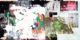 Maya Rochat – A plastic tool