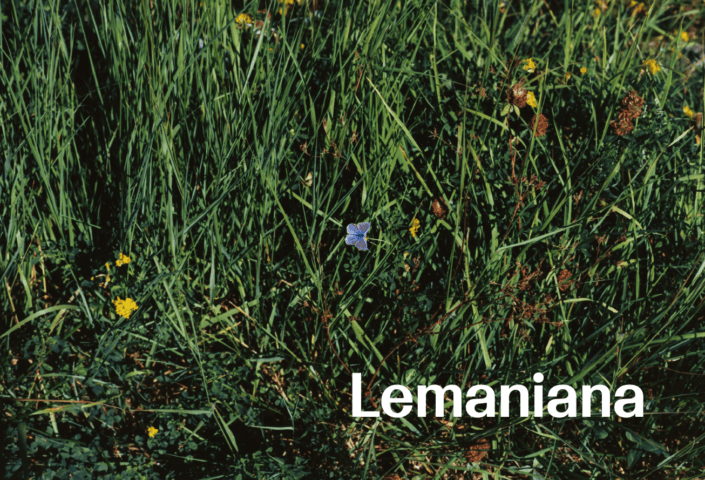 Lemaniana (Édition française)